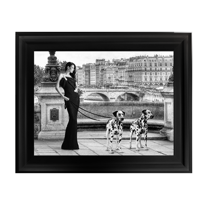 FG016 Dalmatians