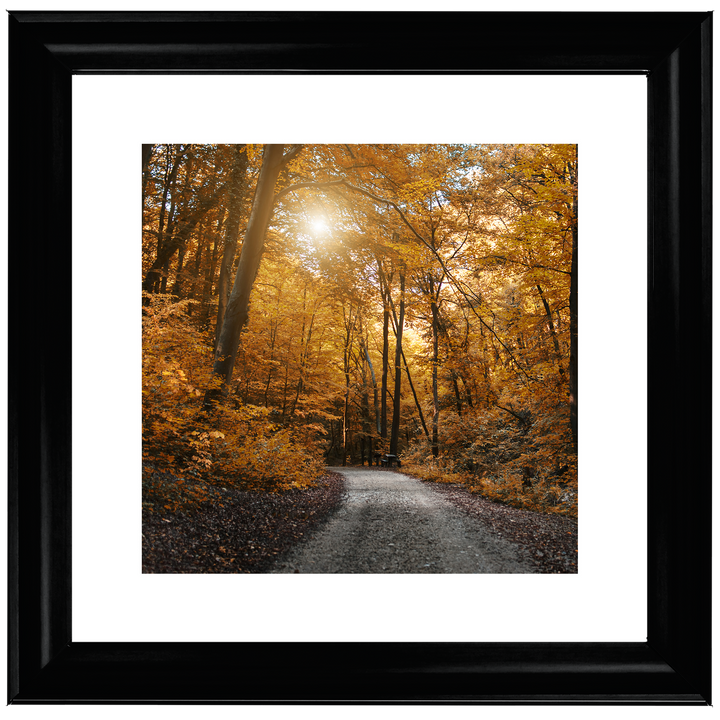 Walkway through yellow leafs
