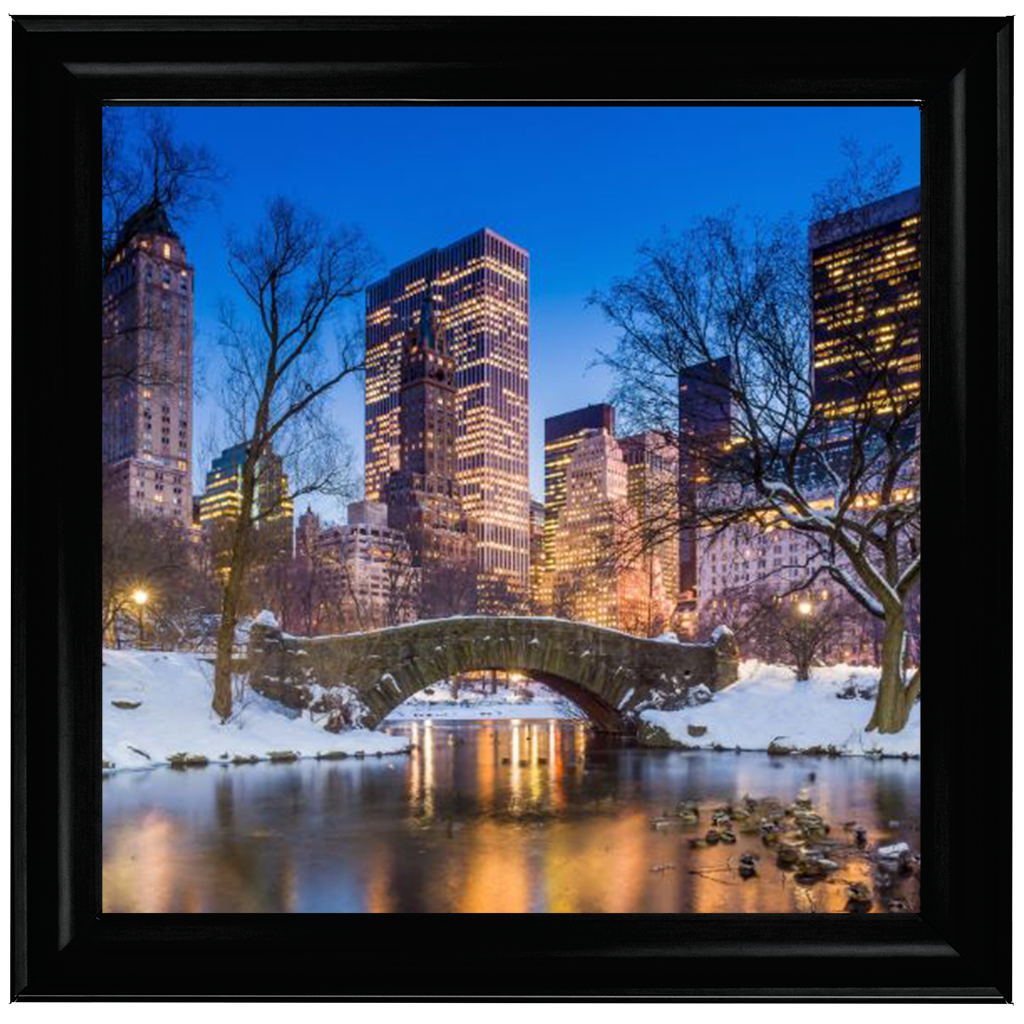 C568 Winter City