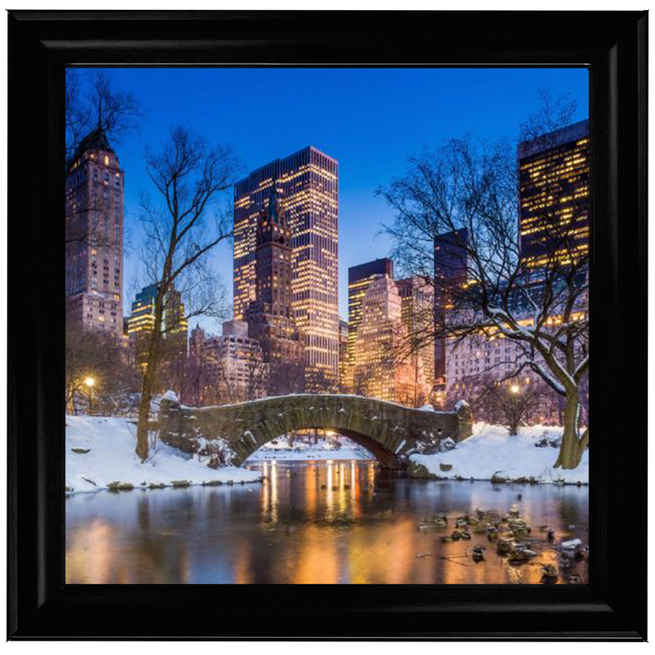 C568 Winter City