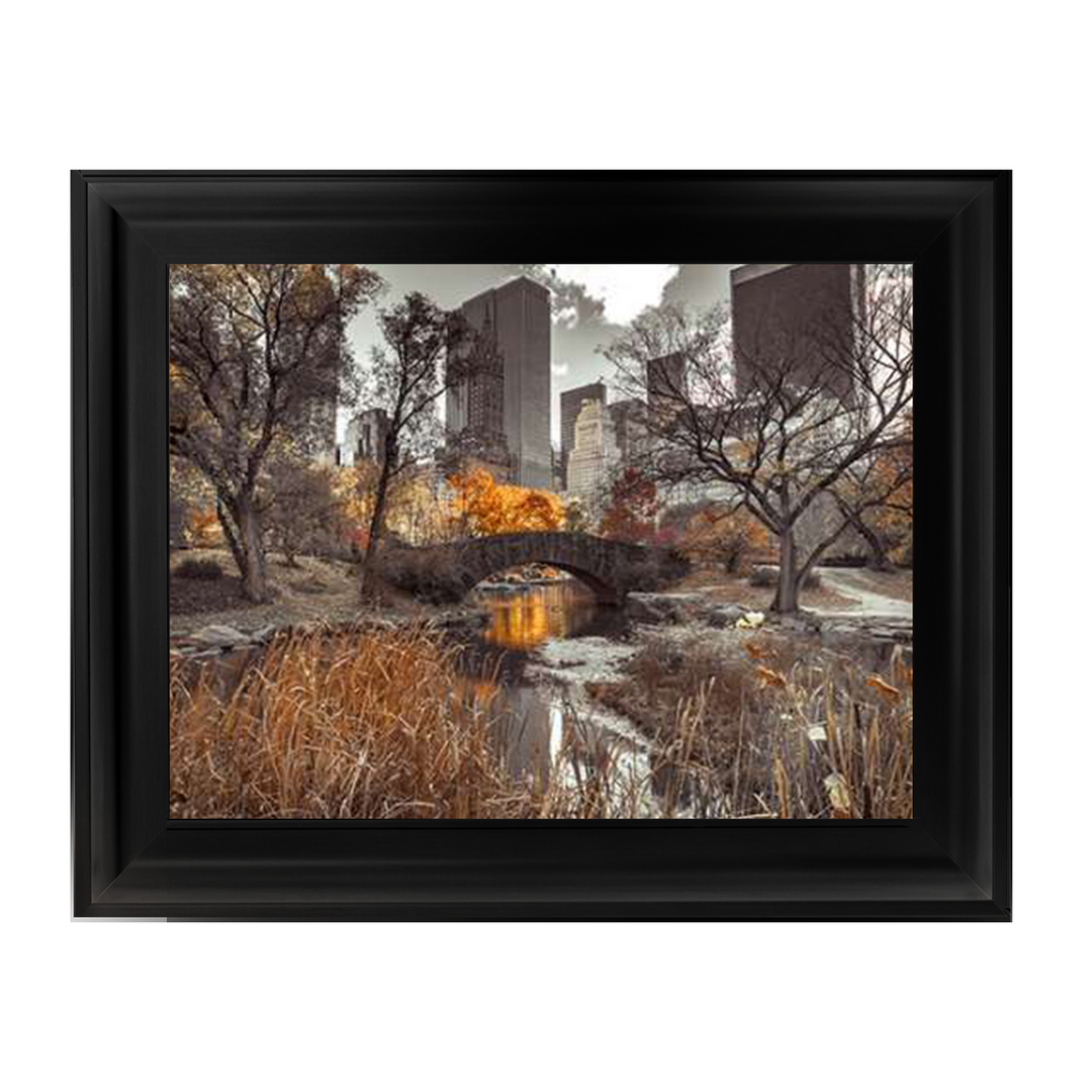 Gapstow Bridge in Autumn II, Central Park, New York city, Assaf Frank