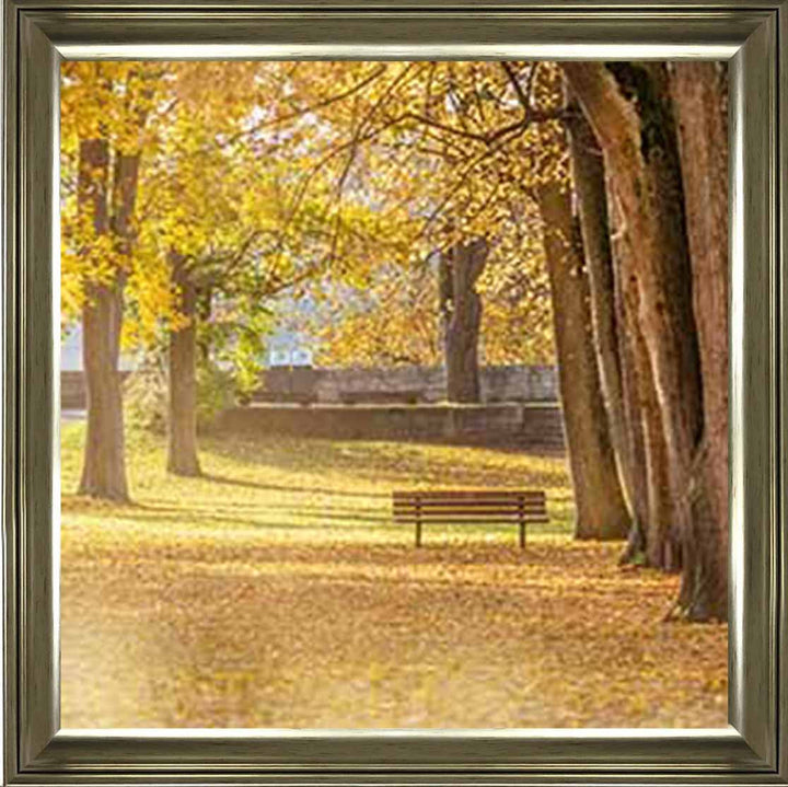 LS352 AUTUMN PARK YELLOW TREE