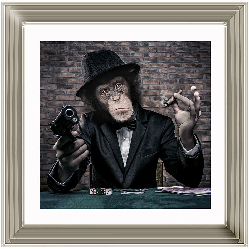 AN178  Gangster Chimp