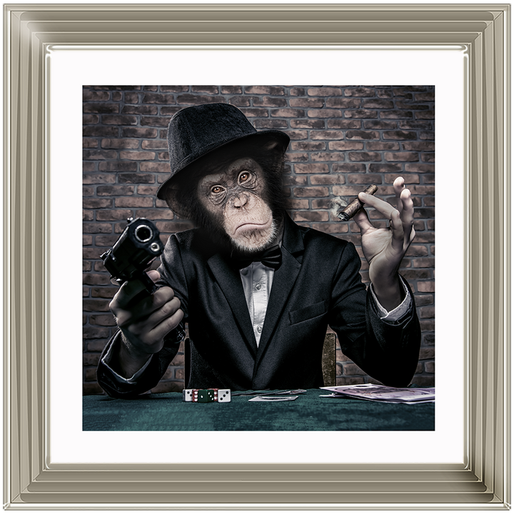 AN178  Gangster Chimp