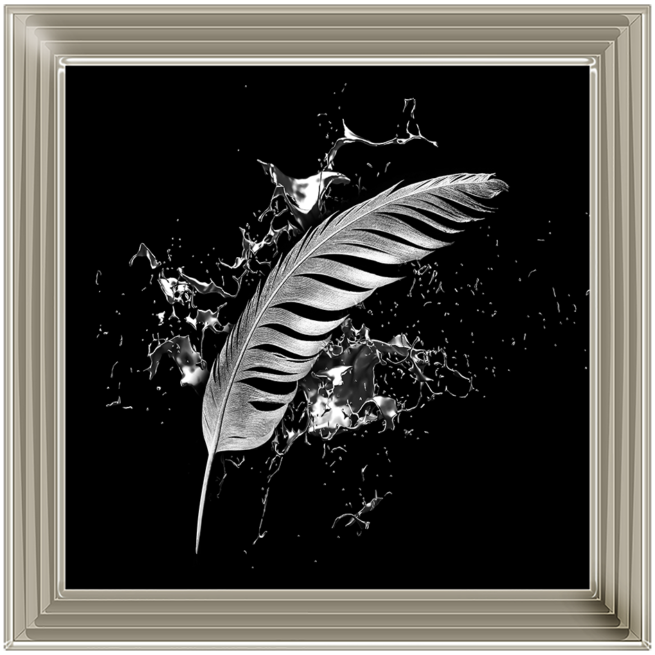 Silver Feather