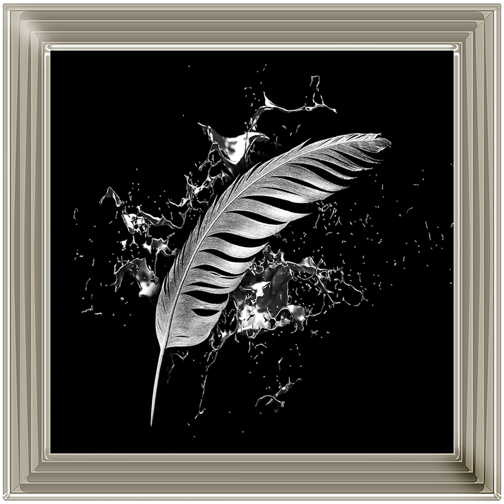 Silver Feather