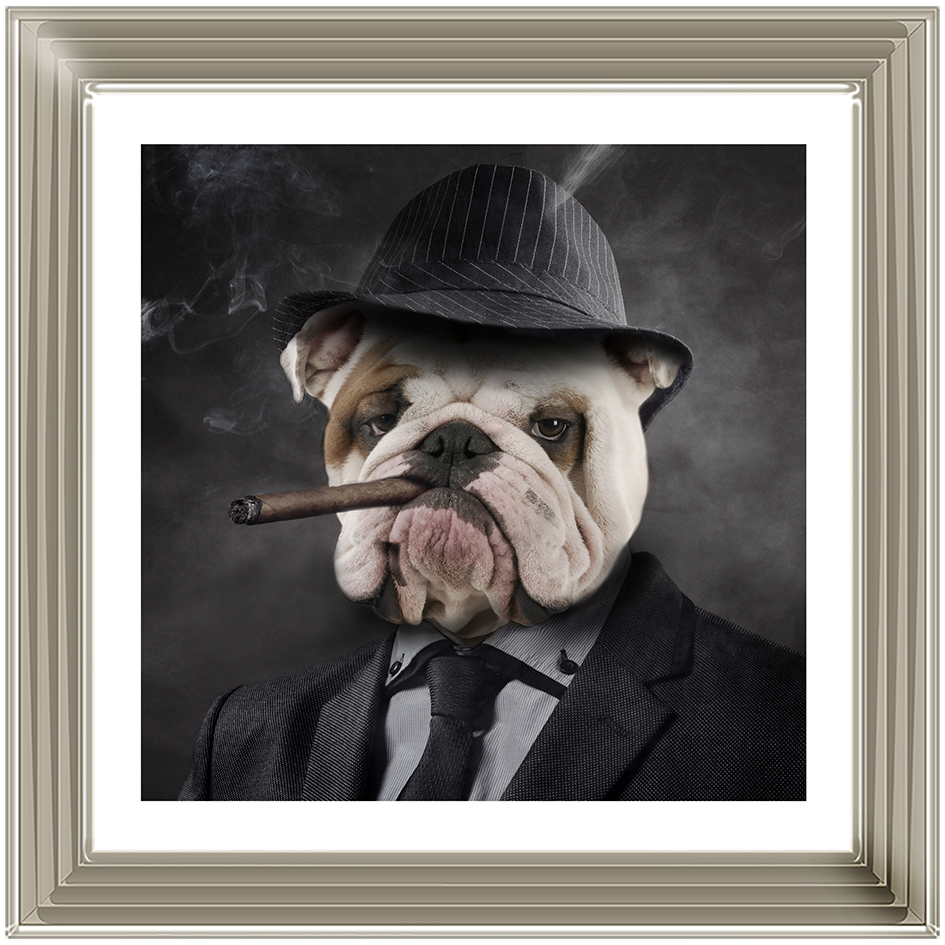 AN183 Gangster Bulldog (border)