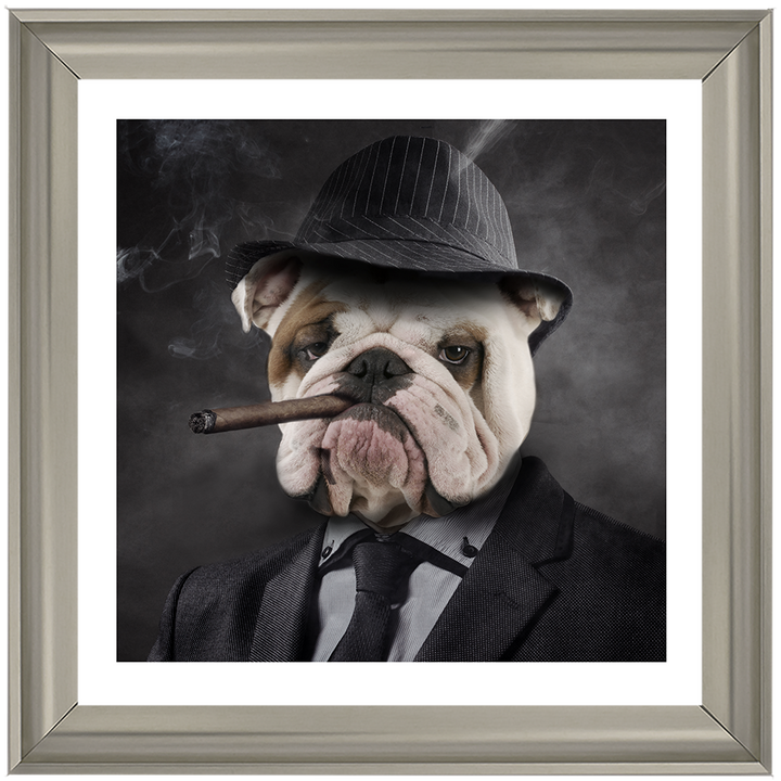 AN183 Gangster Bulldog (border)