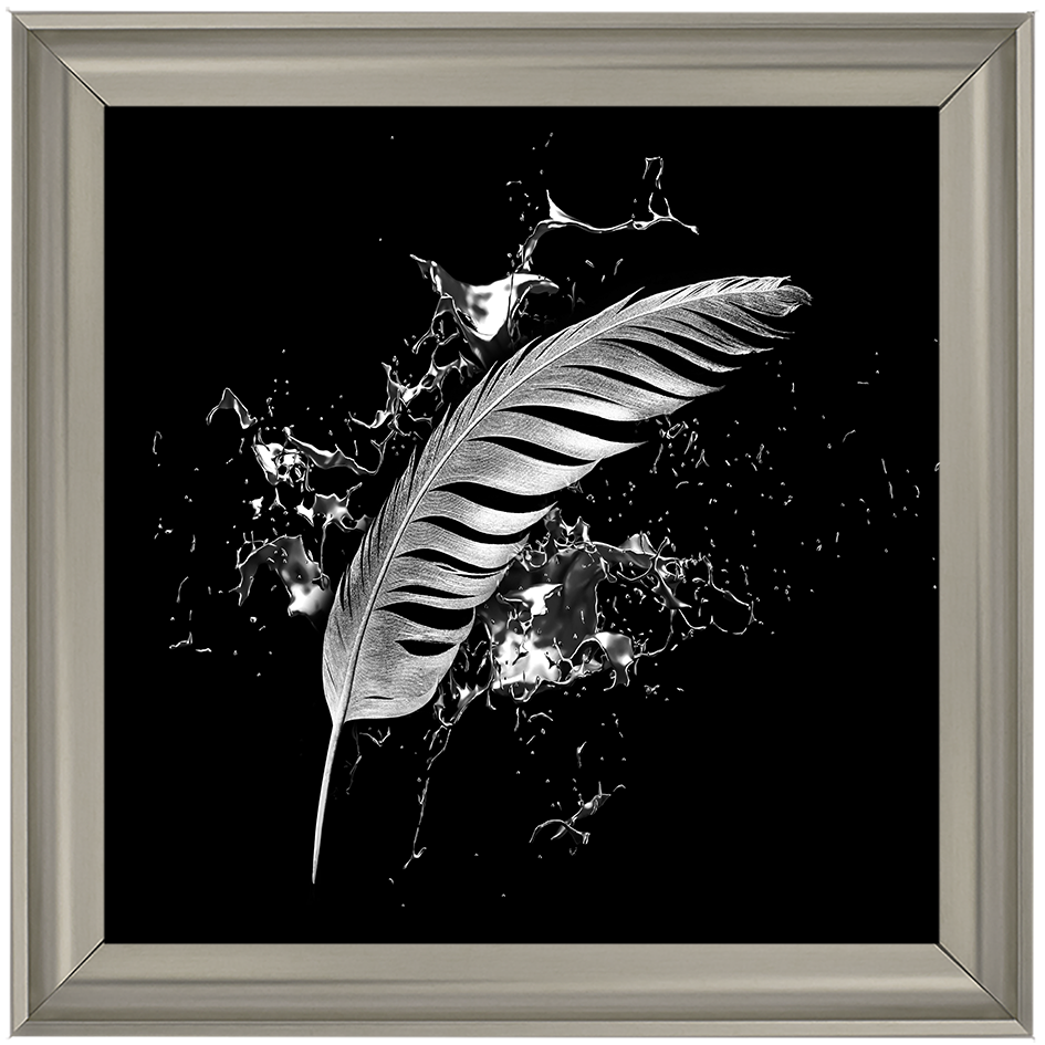 Silver Feather