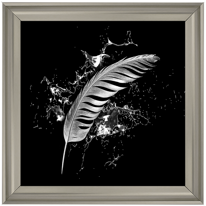 Silver Feather