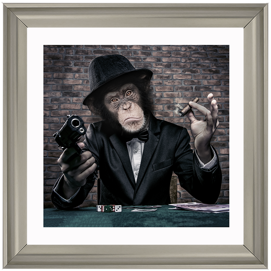 AN178  Gangster Chimp