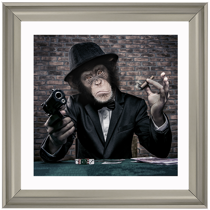 AN178  Gangster Chimp