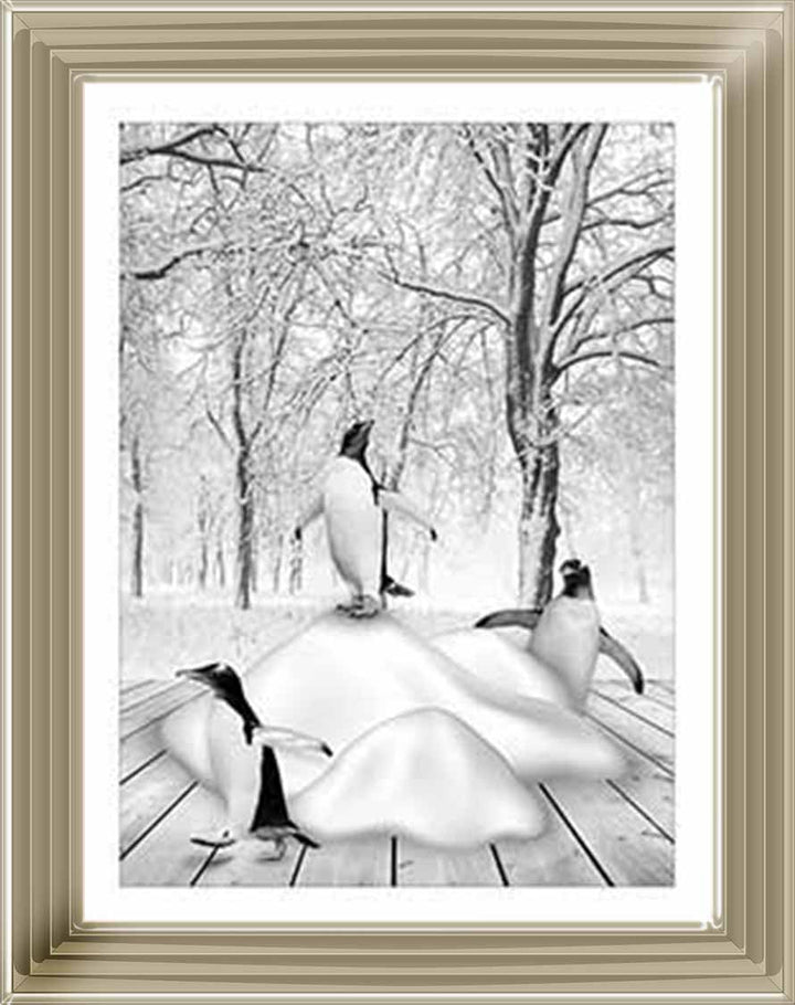 AN746-B&W Pandas on Winter Snow l