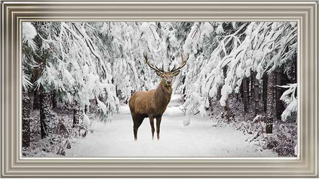 AN756 Stag in the Winter Snow