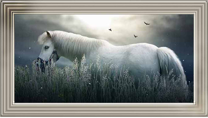 AN759 NIGHT HORSE