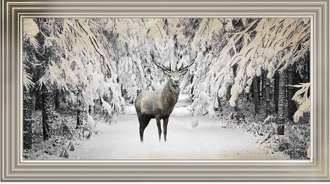AN770 Dear on winter snow lll