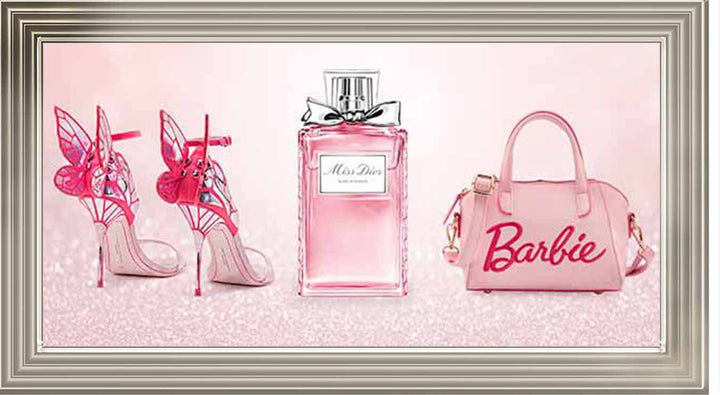 FS880 Barbie ll