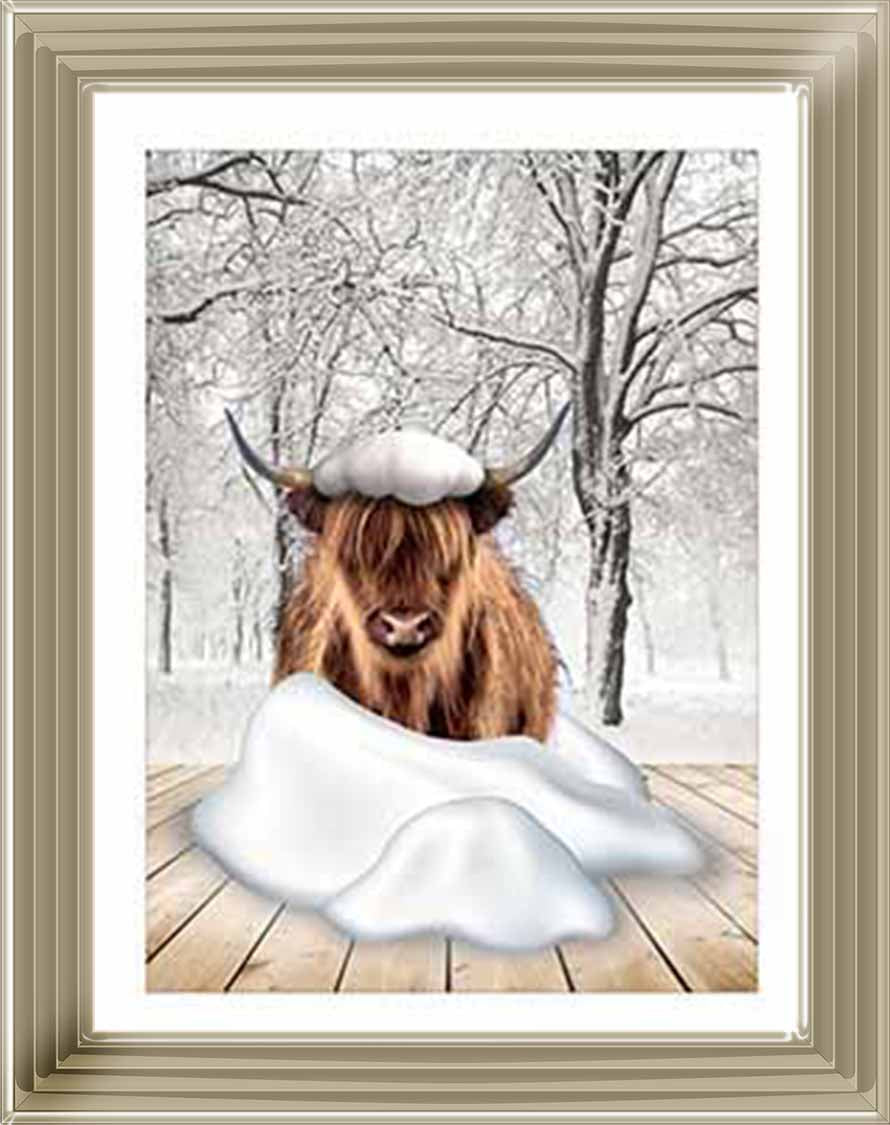 AN750-C Highland cow on Winter Snow ll