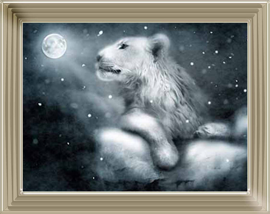 AN761 Lion On Rock Night