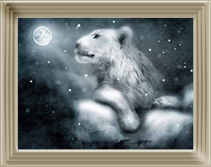 AN761 Lion On Rock Night