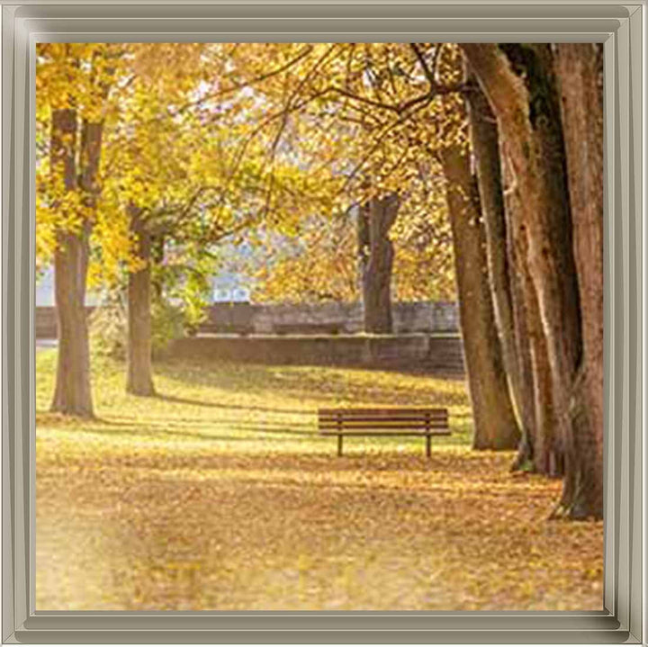 LS352 AUTUMN PARK YELLOW TREE