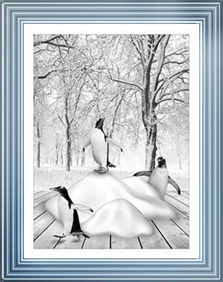 AN746-B&W Pandas on Winter Snow l