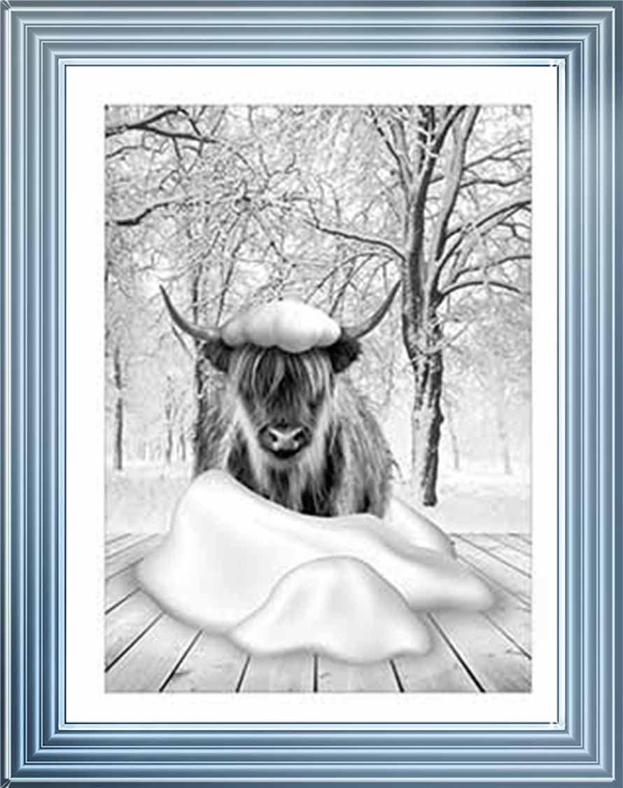 AN750-B&W Highland cow on Winter Snow l