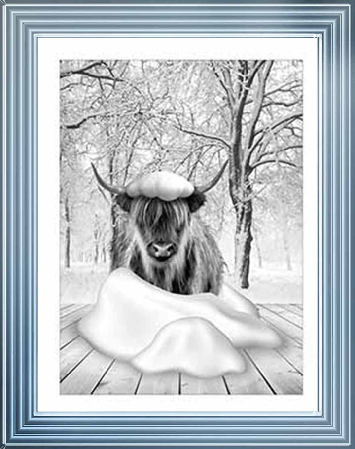 AN750-B&W Highland cow on Winter Snow l