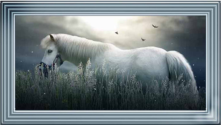 AN759 NIGHT HORSE
