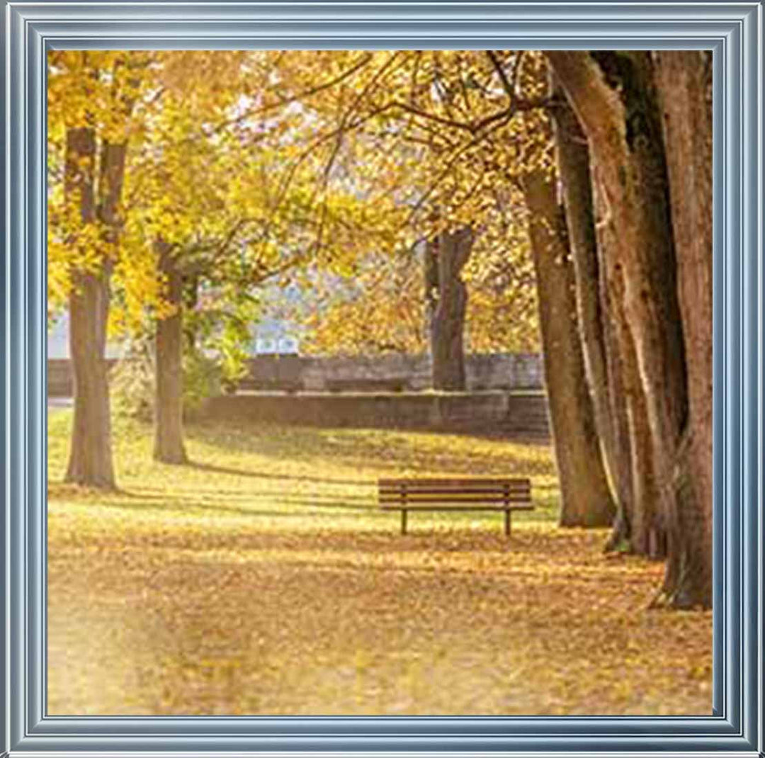 LS352 AUTUMN PARK YELLOW TREE