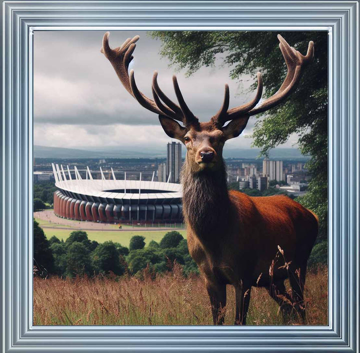 AN1108 STAG AT STADIUM
