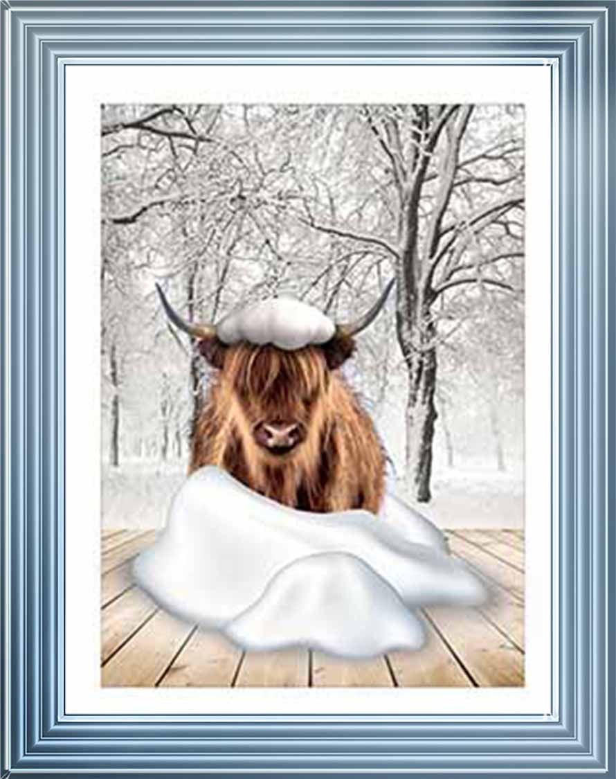 AN750-C Highland cow on Winter Snow ll