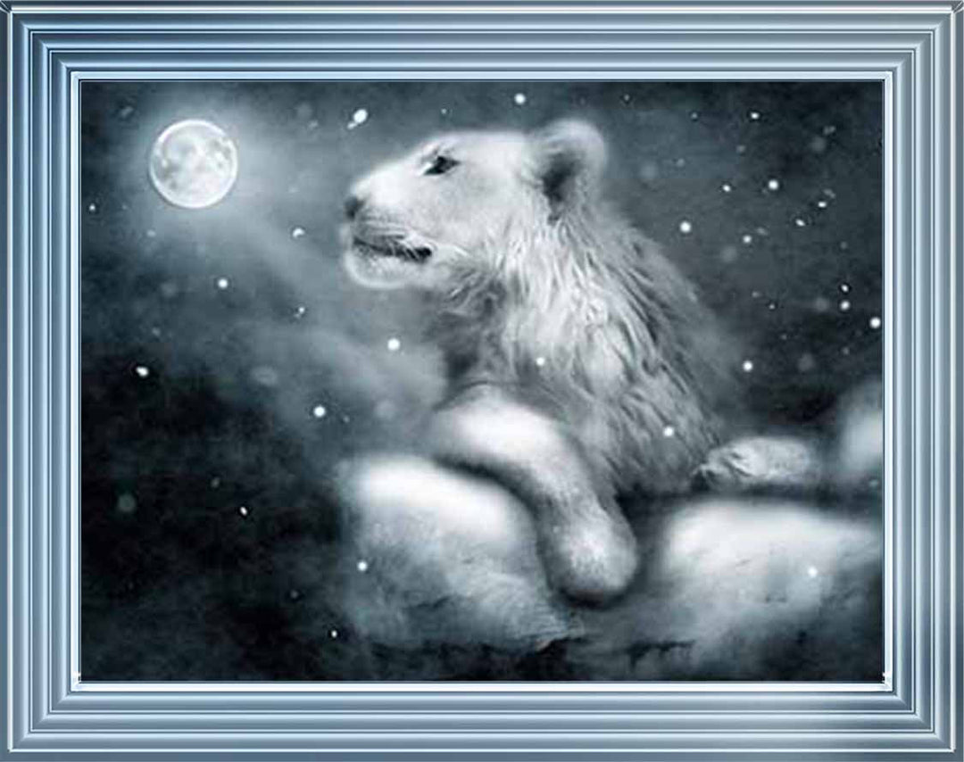 AN761 Lion On Rock Night