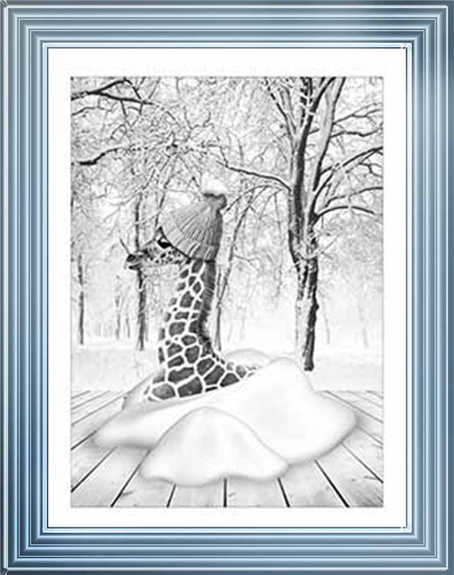 AN752-B&W Giraffe on Winter Snow l
