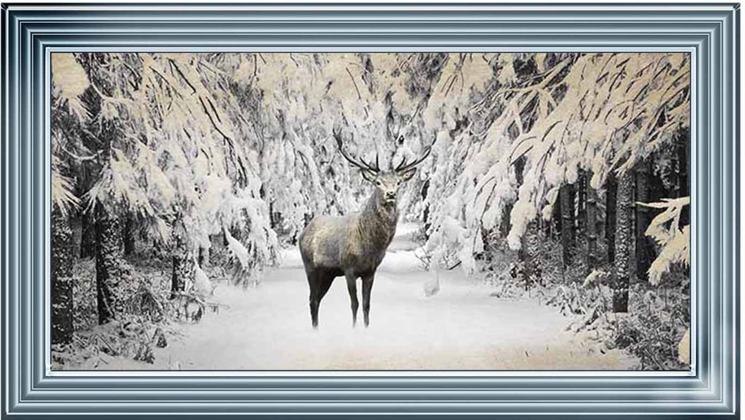 AN770 Dear on winter snow lll