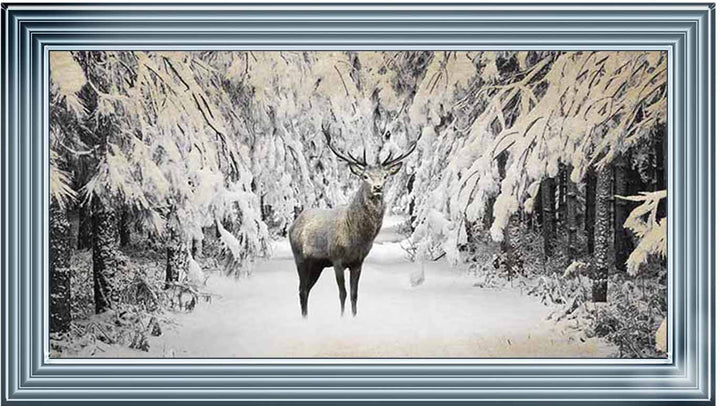 AN770 Dear on winter snow lll