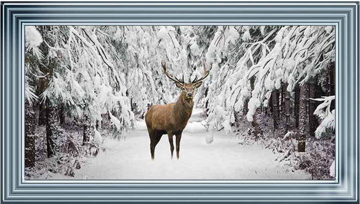 AN756 Stag in the Winter Snow