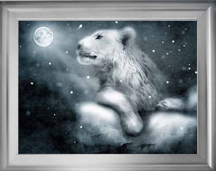 AN761 Lion On Rock Night