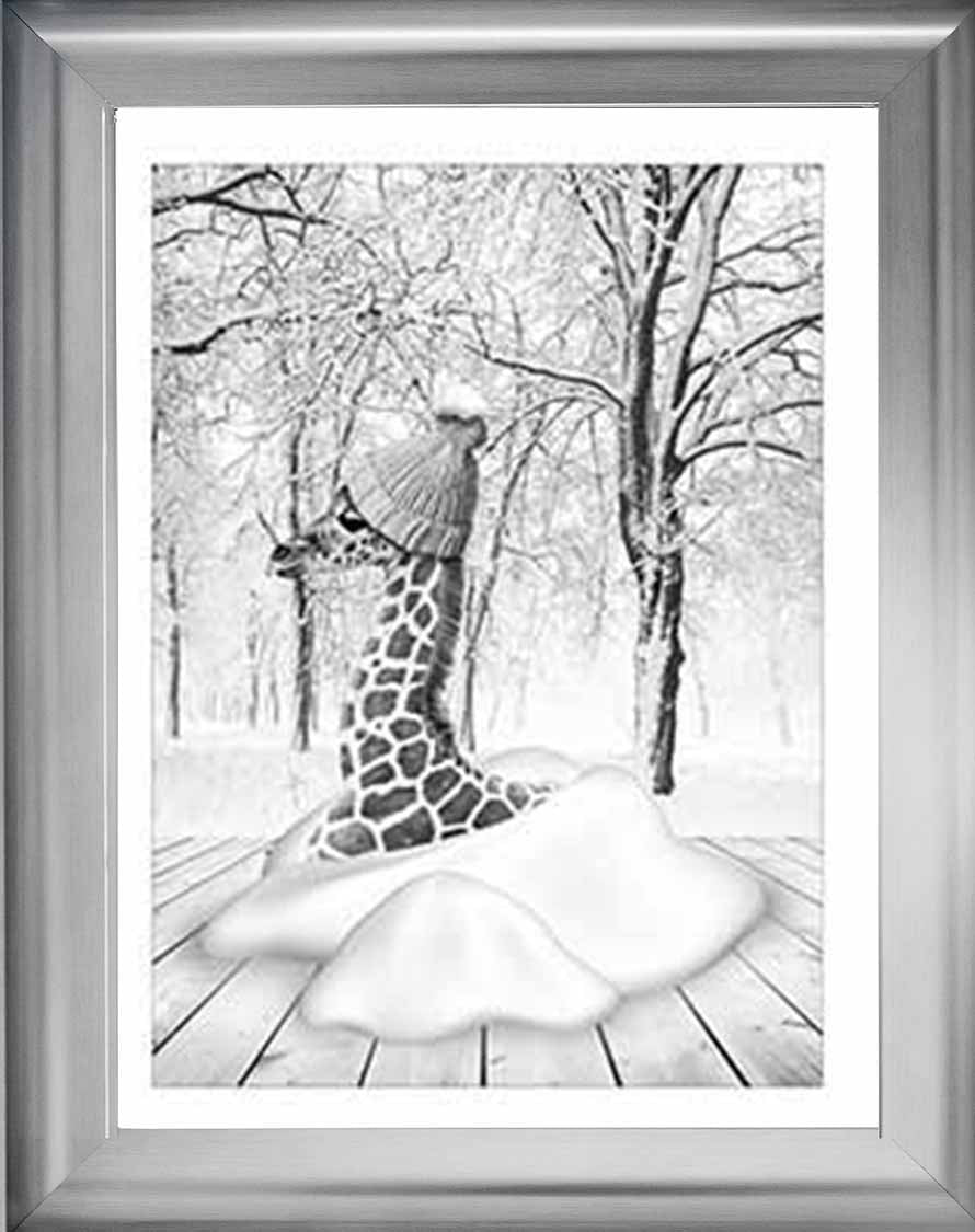 AN752-B&W Giraffe on Winter Snow l