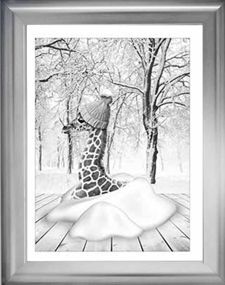 AN752-B&W Giraffe on Winter Snow l