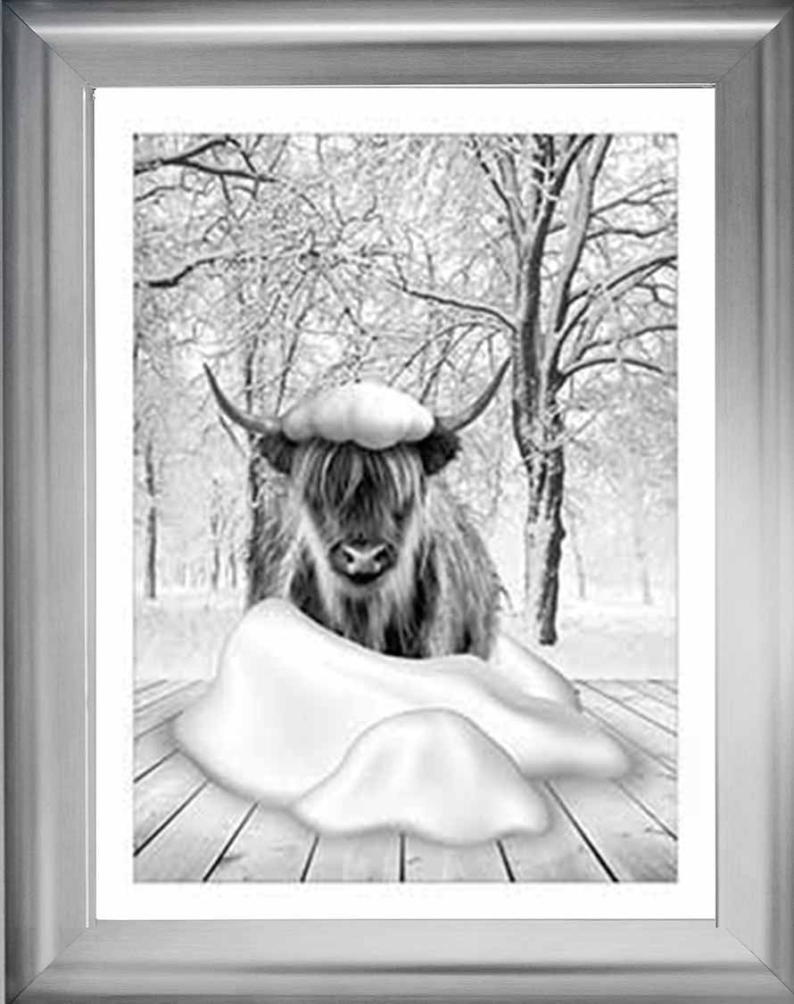 AN750-B&W Highland cow on Winter Snow l