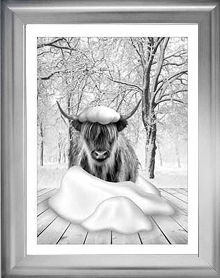 AN750-B&W Highland cow on Winter Snow l