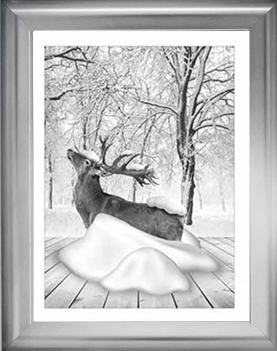 AN749-B&W Dear on Winter Snow l