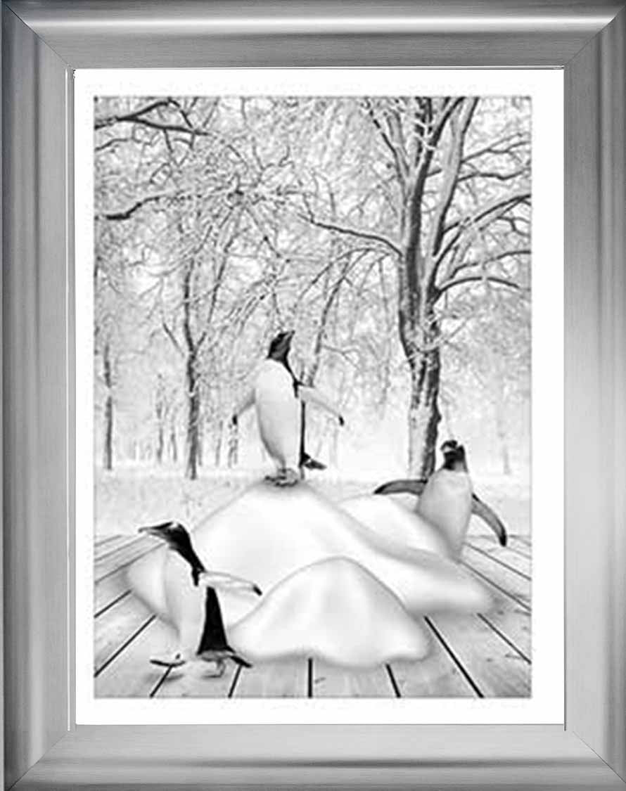 AN746-B&W Pandas on Winter Snow l