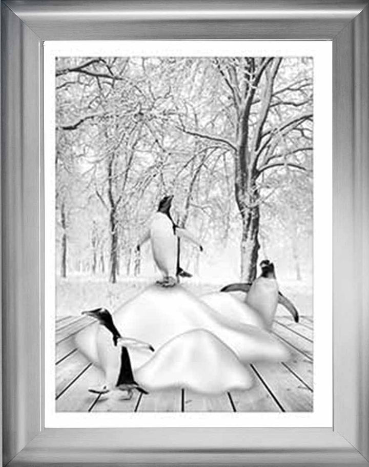 AN746-B&W Pandas on Winter Snow l