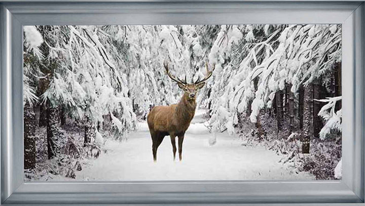 AN756 Stag in the Winter Snow