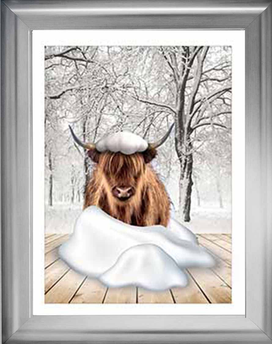 AN750-C Highland cow on Winter Snow ll