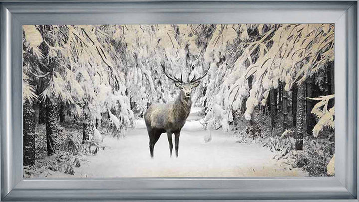 AN770 Dear on winter snow lll