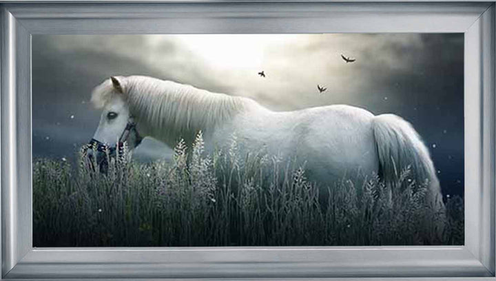 AN759 NIGHT HORSE
