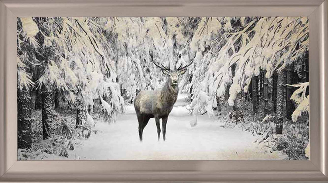 AN770 Dear on winter snow lll